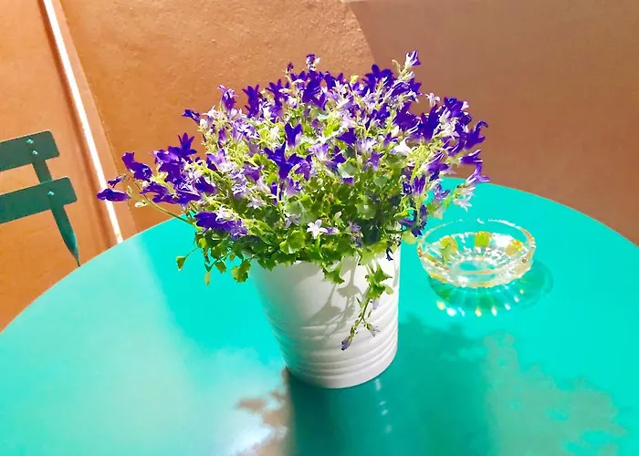 Chiaro Di Luna Maiori